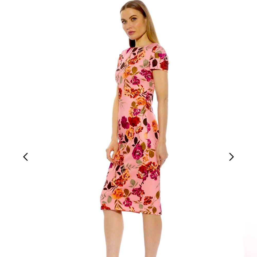 Alexia Admore CRYSTA DRESS Cocktail Length Floral Fairycore pink garden XS